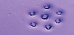 Locked MOFs are the key to high porosity