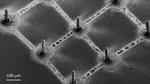 3D-printing perovskites on graphene makes next-gen X-ray detectors