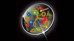 Nature’s funhouse mirror: understanding asymmetry in the proton