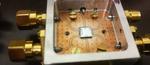 New physics rules tested on quantum computer
