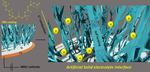 Packing More Juice in Lithium-Ion Batteries Through Silicon Anodes and Polymeric Coatings