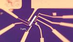 Putting graphene in a spin