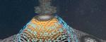 New AI tool can revolutionise microscopy