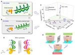 Researchers Detects Chiral Structures using Vortex Light