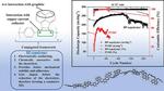 Built to Last: New Copolymer Binder to Extend the Life of Lithium Ion Batteries