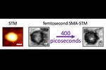 Cheap, nontoxic carbon nanodots poised to be quantum dots of the future
