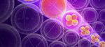 Size matters when it comes to atomic properties