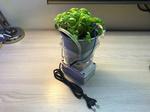 Arduino Watering System