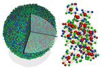 Century-old problem solved with first-ever 3D atomic imaging of an amorphous solid