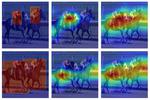 Researchers at U of T and LG develop ‘explainable’ artificial intelligence algorithm