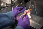 This Hydrogen Fuel Machine Could Be the Ultimate Guide to Self-Improvement