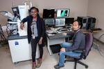 FSU engineers improve performance of high-temperature superconductor wires