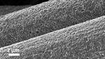 Aluminum-anode batteries offer sustainable alternative