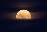 The Next Full Moon Is a “Supermoon” Pink Moon
