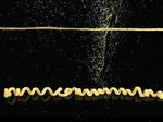 CMU Lab Leads Development of Pasta That Morphs Into Shape When Cooked