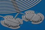 NIST Team Directs and Measures Quantum Drum Duet