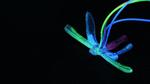 Soft Robotic Dragonfly Signals Environmental Disruptions