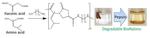 Pepsin-Degradable Plastics of BioNylons from Itaconic and Amino Acids