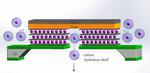 Scaling down Ionic Transistors to the ultimate limit