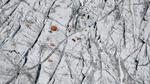 Fibre-optics used to take the temperature of Greenland Ice Sheet