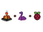 CircuitPython Libraries on MicroPython using the Raspberry Pi Pico