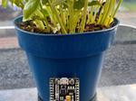 DIY Smart Plant