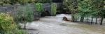 Developing a new AI early warning system for flooding