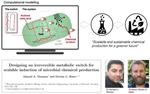 Efficiently “switching on” bacteria to produce high-value chemicals