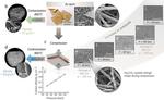 New generation of supercapacitors set to electrify green transportation