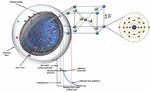 Online ‘library of properties’ helps to create safer nanomaterials