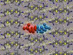 Tuning The Energy Gap: A Novel Approach For Organic Semiconductors