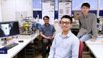 Miniature robots controlled by magnetic fields