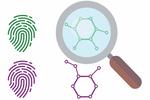 Algorithm Uses Mass Spectrometry Data to Predict Identity of Molecules