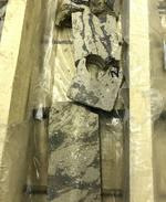 New Research Brings Age Of 65M-Year-Old Meteorite Impact Into Sharper Focus