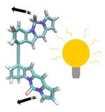 University of Groningen scientists design superfast molecular motor