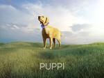 Puppi