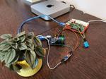 Flower Monitoring using Raspberry Pi & Arduino