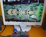 PicoVGA - VGA/TV display on Raspberry Pico