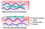 Proton’s Travel Route in Polymers Could Lead the Way to Clean Fuels