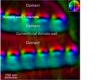 Scientists observe a new type of topological defect in chiral magnets for the first time