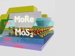Ultrathin semiconductors electrically connected to superconductors for the first time