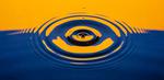 New evidence of an anomalous phase of matter brings energy-efficient technologies closer