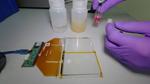 Smartphone screens effective sensors for soil or water contamination