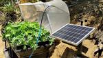 MicroPython Vegetable Garden Automation Tutorial