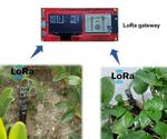 ESP32 As LoRa Gateway With Arduino