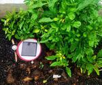 CliSensio - Climate Sensing and Insect Infestation Control