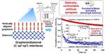 Towards next-gen computers: Mimicking brain functions with graphene-diamond junctions