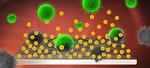 Graphene binds drugs which kill bacteria on implants