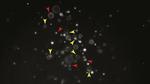 How chemical reactions compute