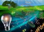 New solvents to break down plant cellulose for bioethanol